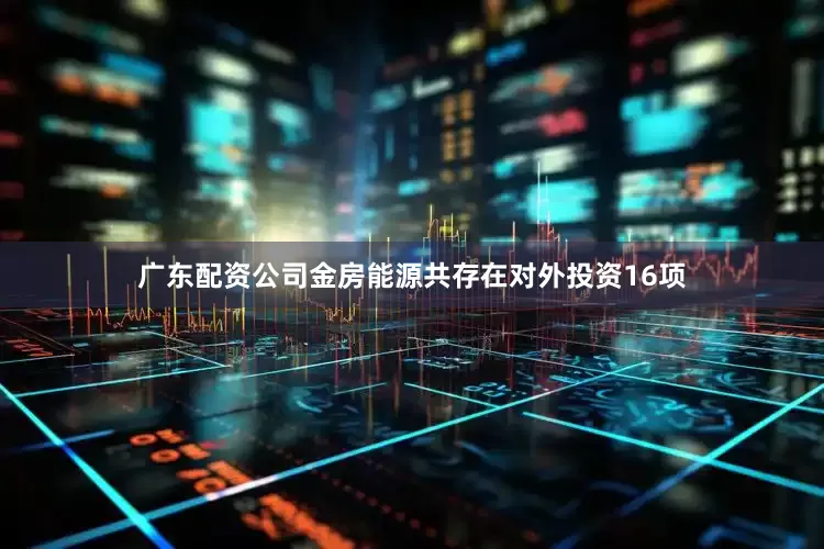 广东配资公司金房能源共存在对外投资16项