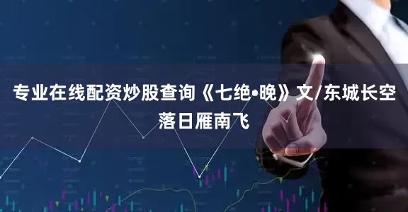 专业在线配资炒股查询《七绝•晚》文/东城长空落日雁南飞