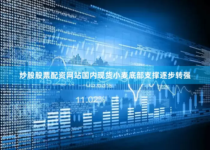炒股股票配资网站国内现货小麦底部支撑逐步转强